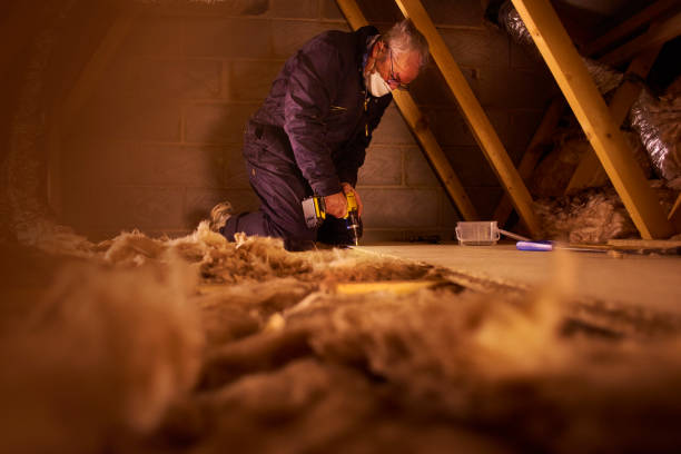 Best Attic Insulation Installation  in Taylor Lake Village, TX